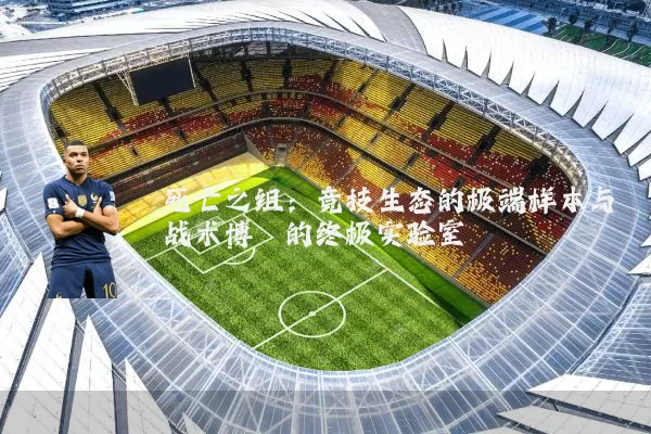 死亡之组:竞技生态的极端样本与战术博弈的终极实验室